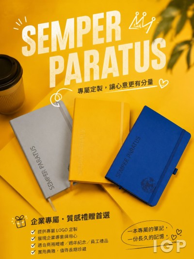 政府飛行服務隊
