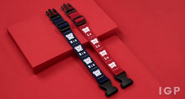 黎果有限公司