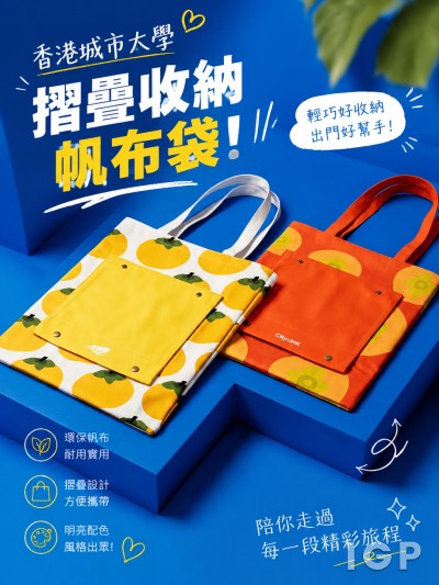 香港城市大學