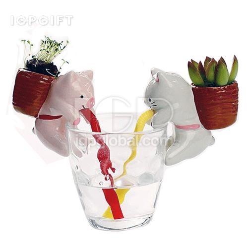 動物吸水透明杯子小盆栽