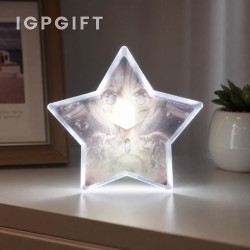 ป้ายชื่อแบบมีแสง LED