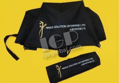 IGP(Innovative Gift & Premium)|Ringus Solution Enterprise Limited