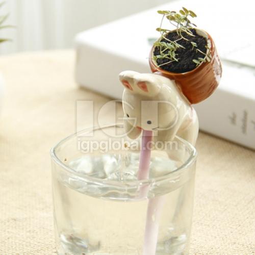 動物吸水透明杯子小盆栽
